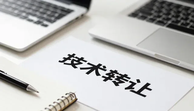 成果转化中的技术支持选择与实际应用考量